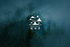 紫色梅子采集到包装设计及LOGO设计