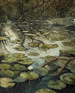 美国插画家 Lily Seika Jones 类似钢笔淡彩风格的插画作品  |  ins：rivuletpaper ​​​​