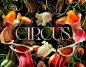 Circus Brand Video & Imagery Assets.