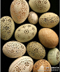 热门创意排行榜：蛋壳上的雕花艺术