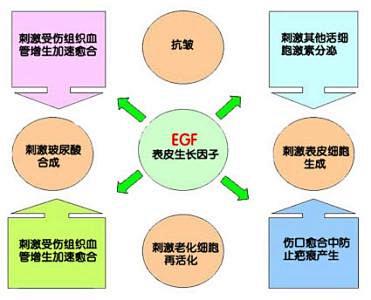 皮肤问题 - 百度