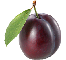 李子 PNG image