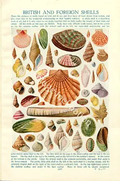 水彩---素材小画 - 高清图片，堆糖，美图壁纸兴趣社区