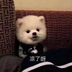 表情包超话#表情包##狗狗#
逗比狗子来一波 ​​​​
