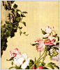王葵安的相册-郎世寧作品欣賞