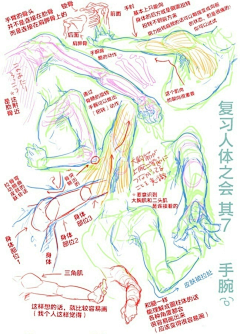 在家里更吊-采集到人体