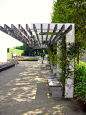 Pergola in sculpture garden. CANOPY