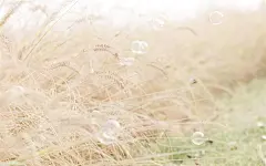 唯美意境小清新风景桌面壁纸图片
