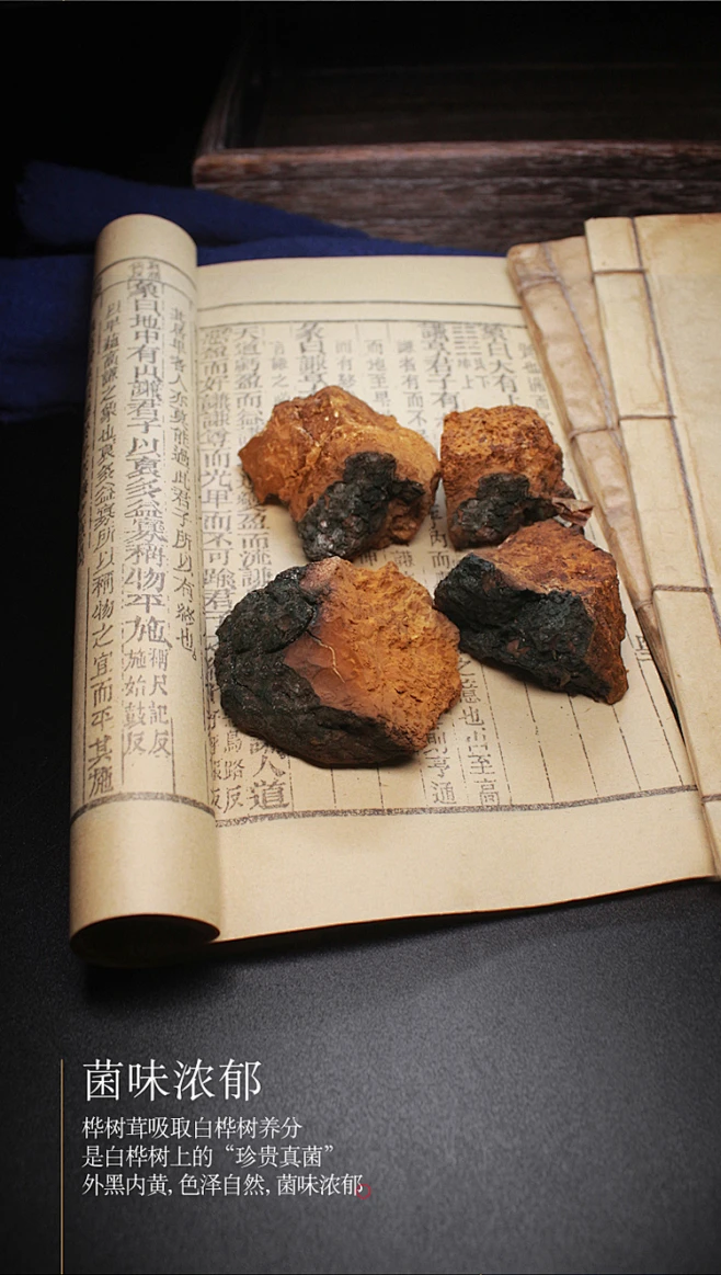 【海尾海尾 桦树茸500克】海尾 正宗野生桦树茸白桦茸500g 桦褐孔菌桑黄灵芝 黑金颗粒茶华树树茸长白山桦树泪【行情 报价 价格 评测】-京 ...