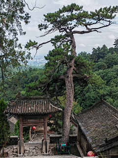 lsen采集到中国建筑