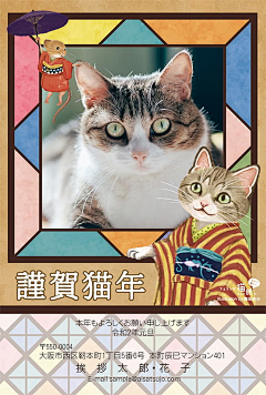 怂小宝采集到公众号图  有趣萌宠