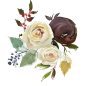 冬季花卉玫瑰手绘唯美海报请柬元素免抠PNG透明图案 PS设计素材 (7)