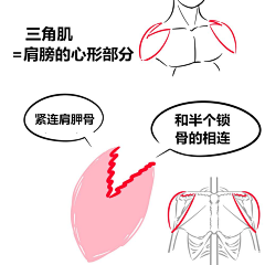 YUANNNxxx采集到教程