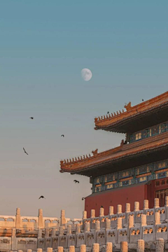 杨癫疯~采集到北京
