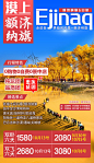 【源文件下载】 海报 旅游 额济纳旗 胡杨林 丹霞 嘉峪关 居延海 沙漠 树林 秋叶 56111