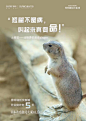 收到一份文案投稿。

来自 2019 年 12 月 21 日昆明融创文旅城开业倒计时的一组海报。

这个系列是针对海世界里的亮点动物来规划的，当时甲方能给的素材只有一些动物的照片。

于是就站在这些动物的心理视角，进行了一次拟人化的文案撰写。...展开全文c