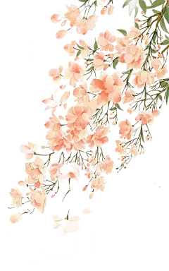 水彩花  (19)