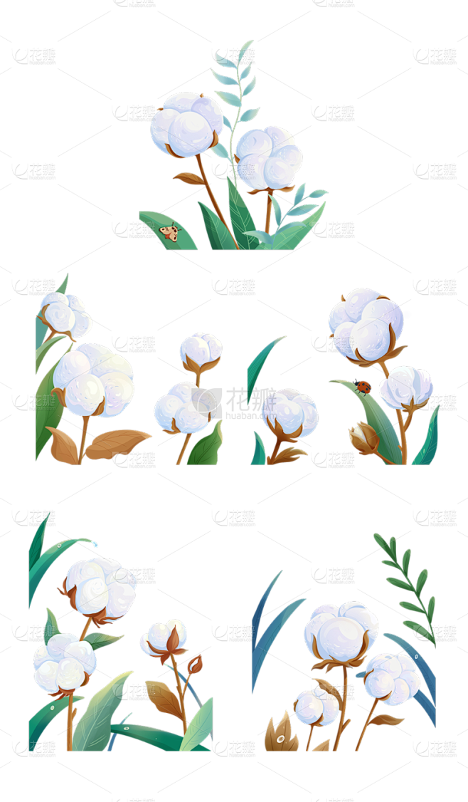 素材组合-传统节气寒露插画棉花植物元素素...