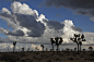 landscape-horizon-cloud-sky-sunset-field-prairie-cloudy-desert-wind-dry-dusk-evening-twilight-weather-usa-cumulus-california-savanna-plain-trees-outdoors-clouds-silhouettes-southwest-joshua-tree-national-park-meteorological-phenomenon-551768.jpg (1920×128