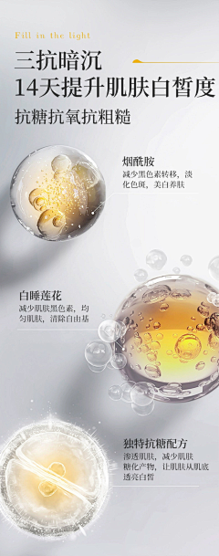 CocoTT采集到山茶花