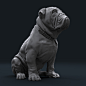 Churchill_dog - Heroic, Ran Manolov : Few screengrabs from Zbrush and #keyshot renders of the second pose of #churchilldog I was tasked to re-sculpt five of these. It turned out to be a much bigger task and ended up posing and sculpting them on my own. St