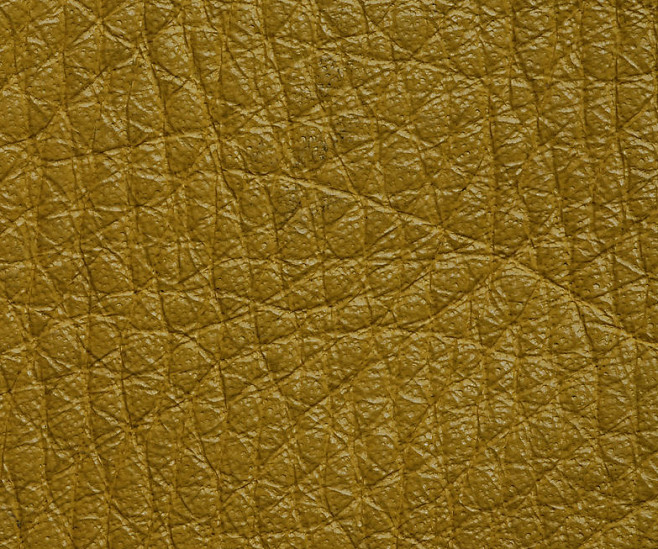 200881110242119_2