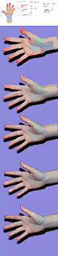 webp