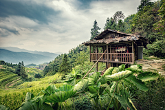 鄧桀采集到可用-背景