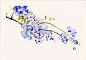 紫藤花-瑶背背_水彩，手绘，清新_涂鸦王国插画