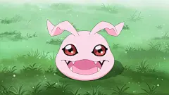 @八宝摸鱼中 的个人主页 - 微博