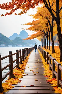 景色宜人的秋季海边小路落叶摄影图片