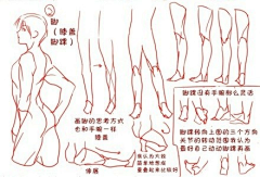 soyxxNiz采集到动态