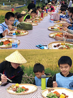 毛川吖采集到营地/庄园/儿童研学/度假旅游区/林下经济