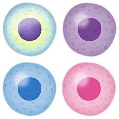 细菌 病毒 细胞  卡通 插画 免扣 素材 手绘 png15