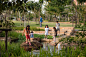 泰国曼谷的大型抗洪雨水公园 Chulalongkorn Centenary Park  /  LANDPROCESS : LANDPROCESS ：曼谷正在下沉，这座拥有2000万人口的城市，正以每年超过1厘米的速度下沉，最快可能在2030年低于海平面。这座泰国首都横跨湄南河三角洲，曾因其发达的运河脉络而被称为东方威尼斯。曾经大量的农业用地吸收了季节性洪水和季风降雨;如今，由于...