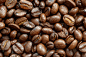 sc_websbook_com_1931863.jpg (3008×1996)