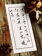 LOFTER（乐乎） - 让兴趣，更有趣