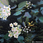 迟迟迟来的九图 来自小野菊菊菊菊菊 - 微博