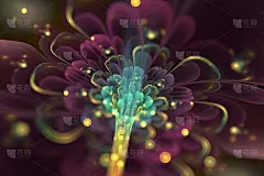 抽象分形艺术插画。红色和蓝色闪亮的花瓣。黑暗的背景。美丽的分形插图的创意平面设计