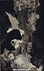 “平成年浮世绘大师”——TAKATO YAMAMOTO