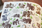 Search and find. Animals : Children book "Search and find. Animals"Published by Clever Media Group, 2016