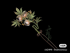 绘事后素Daisy采集到元素