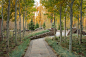 自然风格庭院 (asla) Snake River Retreat by Design Workshop, Inc. – mooool木藕设计网