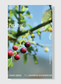 地址中国传统二十四节气立春近景拍摄