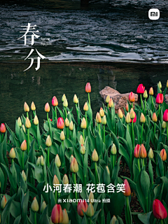 珍贞采集到节点刷屏