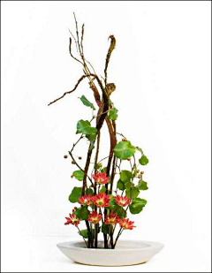 nFQ3b_天涯倦客采集到插花