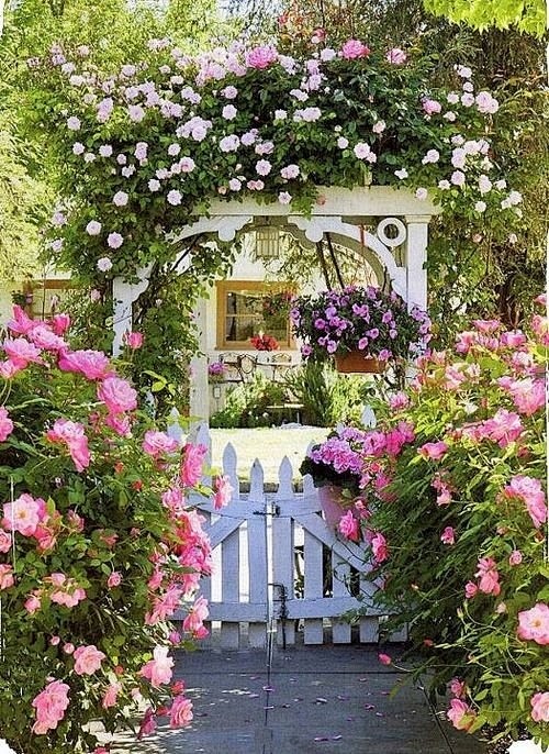 Garden / .