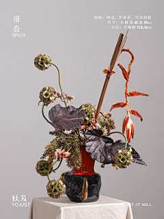 ❤瑀采集到【 有花草，就有生活與感動 】