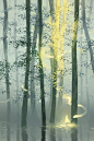 沁 (loika) | Twitter