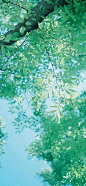  _美 to too _急急如率令-B55058684B- -P3806655783P-  ?yqr=11788203# _图_T2021329 